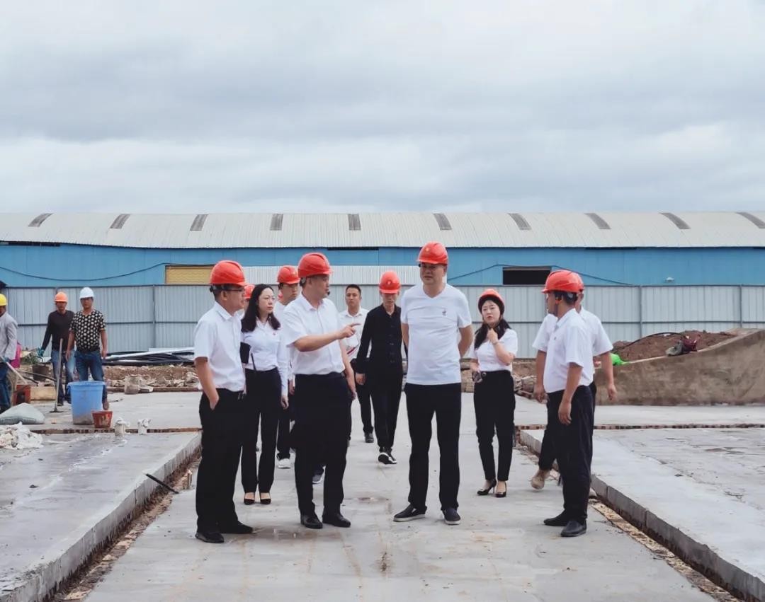 金位海主席前往云南金田阳光城项目现场视察指导工作
